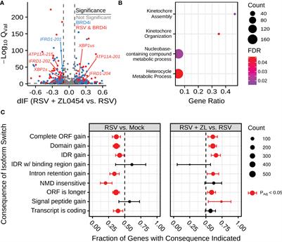 Frontiers | Bromodomain-containing Protein 4 Regulates Innate ...